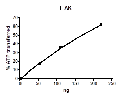 FAK, GST-Tag Recombinant – Figure 1 of 4