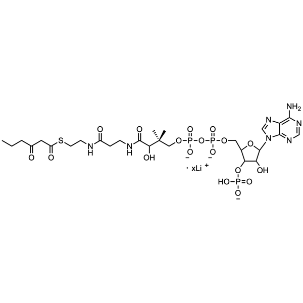 3-Ketohexanoyl Coenzyme A, Lithium salt — Lyophilized powder, purity ≥ 95%, MW 879.66 g/mol (free acid basis), C27H41N7O18P3S · xLi. Coenza biochemical available from BioHippo.