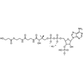 3-Hydroxypropionyl Coenzyme A, Lithium salt — Lyophilized powder, purity ≥ 95%, MW 839.60 g/mol (free acid basis), C24H37N7O18P3S · xLi. Coenza biochemical available from BioHippo.