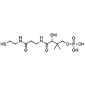 4’-phosphopantetheine, Free acid — Lyophilized powder, purity ≥ 95%, MW 358.35 g/mol, C10H23N2O7PS. Coenza biochemical available from BioHippo.