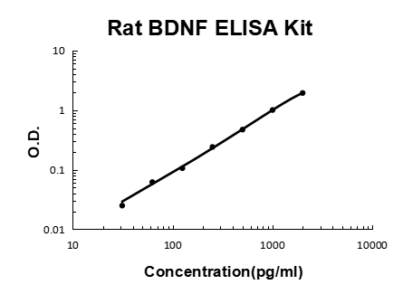 Rat BDNF PicoKine ELISA Kit Standard Curve
