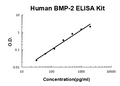 Human BMP-2 PicoKine ELISA Kit standard curve