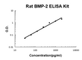 Rat BMP-2 PicoKine ELISA Kit standard curve