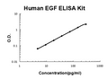 Human EGF PicoKine ELISA Kit standard curve