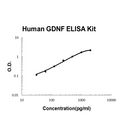 Human GDNF PicoKine ELISA Kit standard curve