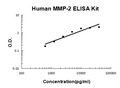 Human MMP-2 PicoKine Quick ELISA Kit standard curve