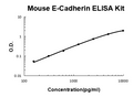 Mouse E-Cadherin PicoKine ELISA Kit standard curve