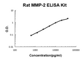 Rat MMP-2 PicoKine ELISA Kit standard curve