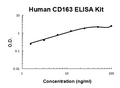 Human CD163 PicoKine ELISA Kit standard curve