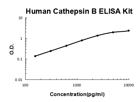 Human Cathepsin B PicoKine ELISA Kit standard curve