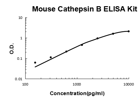 Mouse Cathepsin B PicoKine ELISA Kit standard curve