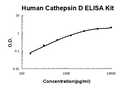 Human Cathepsin D PicoKine ELISA Kit standard curve
