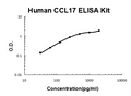 Human CCL17 PicoKine ELISA Kit standard curve
