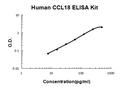 Human CCL18/PARC PicoKine Quick ELISA Kit standard curve