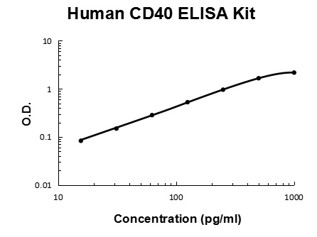 Human CD40 PicoKine ELISA Kit standard curve