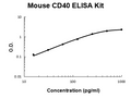 Mouse CD40 PicoKine ELISA Kit standard curve