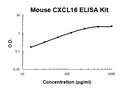 Mouse CXCL16 PicoKine ELISA Kit standard curve