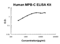 Human MBP-C/MBL2 PicoKine ELISA Kit standard curve
