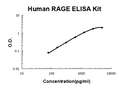 Human RAGE PicoKine ELISA Kit standard curve