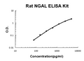 Rat Lipocalin-2/NGAL PicoKine ELISA Kit standard curve