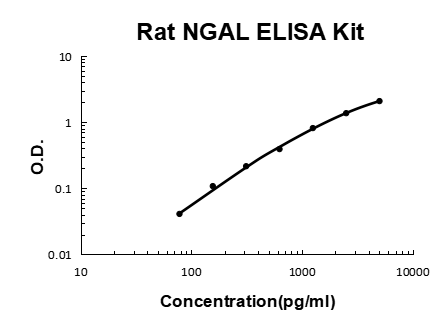 Rat Lipocalin-2/NGAL PicoKine ELISA Kit standard curve