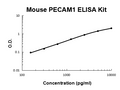 Mouse PECAM1 PicoKine ELISA Kit standard curve