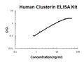 Human Clusterin PicoKine ELISA Kit standard curve