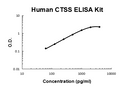 Human CTSS PicoKine ELISA Kit standard curve