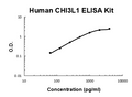 Human CHI3L1 PicoKine ELISA Kit standard curve