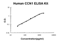 Human CCN1 PicoKine ELISA Kit standard curve