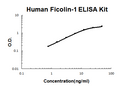 Human Ficolin-1 PicoKine ELISA Kit standard curve