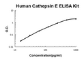 Human Cathepsin E PicoKine ELISA Kit standard curve