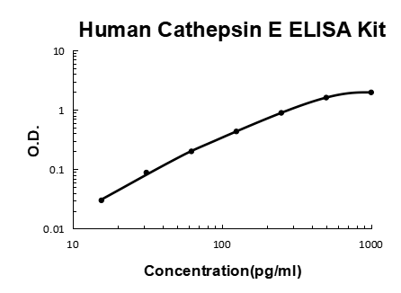 Human Cathepsin E PicoKine ELISA Kit standard curve