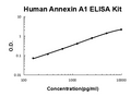 Human Annexin A1 PicoKine ELISA Kit standard curve