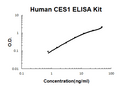 Human CES1 PicoKine ELISA Kit standard curve