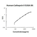 Human ANGPTL7 PicoKine ELISA Kit Standard Curve