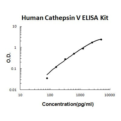 Human ANGPTL7 PicoKine ELISA Kit Standard Curve