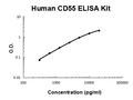 Human CD55 PicoKine ELISA Kit standard curve