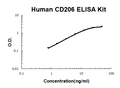 Human CD206 PicoKine ELISA Kit standard curve