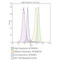 SLAMF7 (CS1) CHO Recombinant Cell Line – Figure 1 of 1