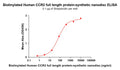 Biotinylated Human CCR2 full length protein-synthetic nanodisc – Figure 1 of 1