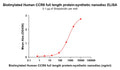 Biotinylated Human CCR8 full length protein-synthetic nanodisc – Figure 1 of 1