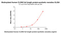Biotinylated Human CLDN2 full length protein-synthetic nanodisc – Figure 1 of 1