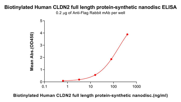 Biotinylated Human CLDN2 full length protein-synthetic nanodisc – Figure 1 of 1