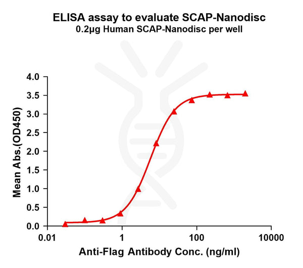 Human SCAP full length protein-synthetic nanodisc – Figure 1 of 1