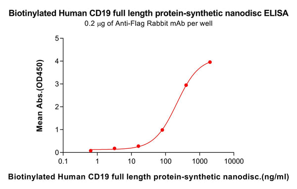 Biotinylated Human CD19 full length protein-synthetic nanodisc – Figure 1 of 1
