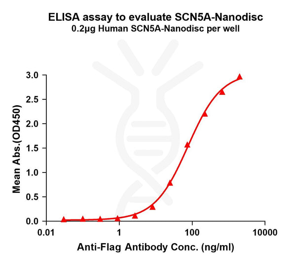 Human SCN5A full length protein-synthetic nanodisc – Figure 1 of 1