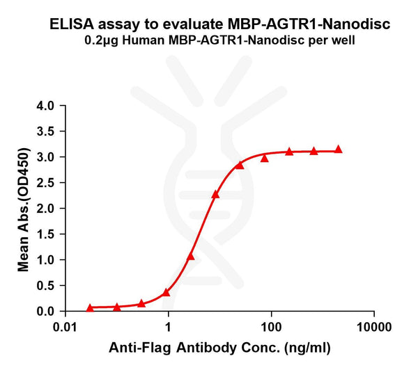 Human MBP-AGTR1 full length protein-synthetic nanodisc – Figure 1 of 1