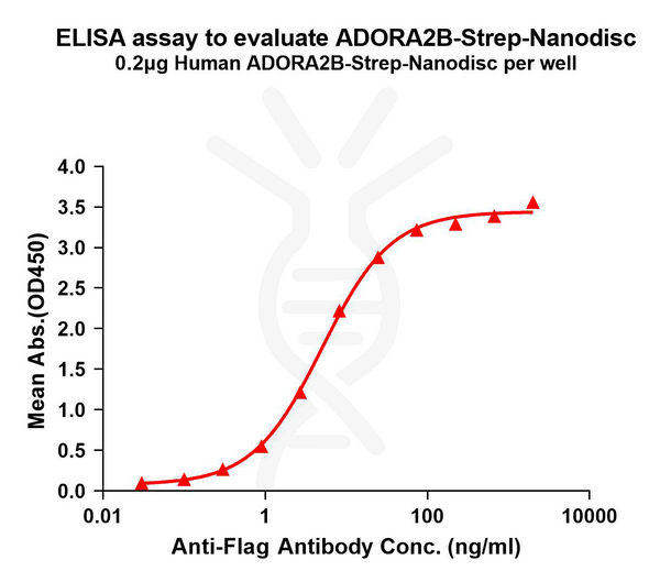 Human ADORA2B-Strep full length protein-synthetic nanodisc – Figure 1 of 1