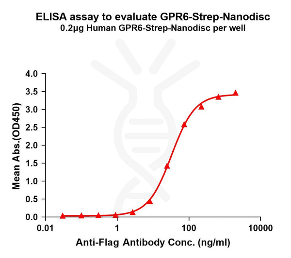 Human GPR6-Strep full length protein-synthetic nanodisc – Figure 1 of 1